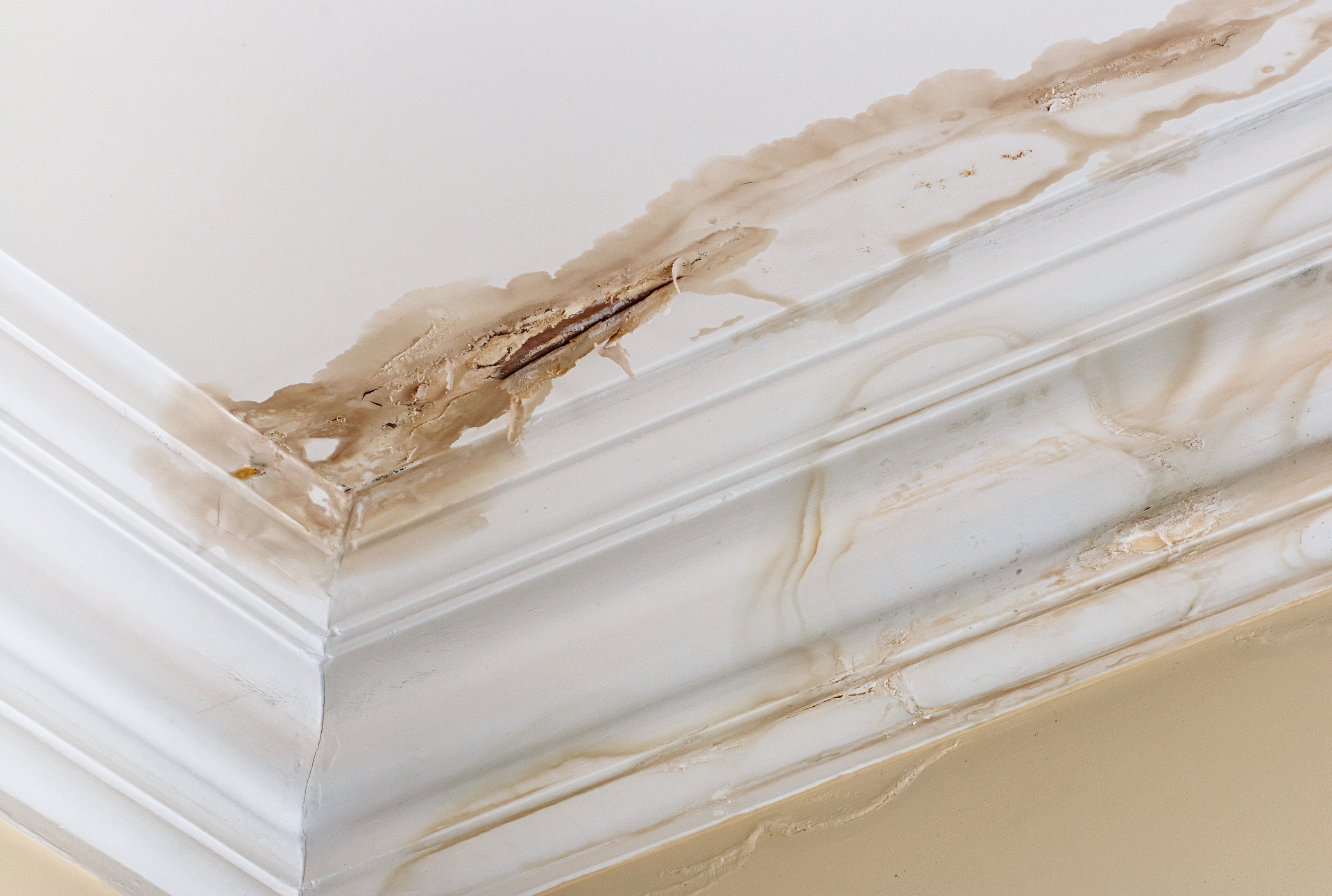 Water Damage Restoration - Main view